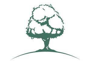 Green tree outline icon