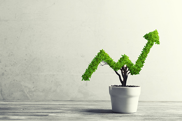 Plant in the shape of an up graph in a pot on a table